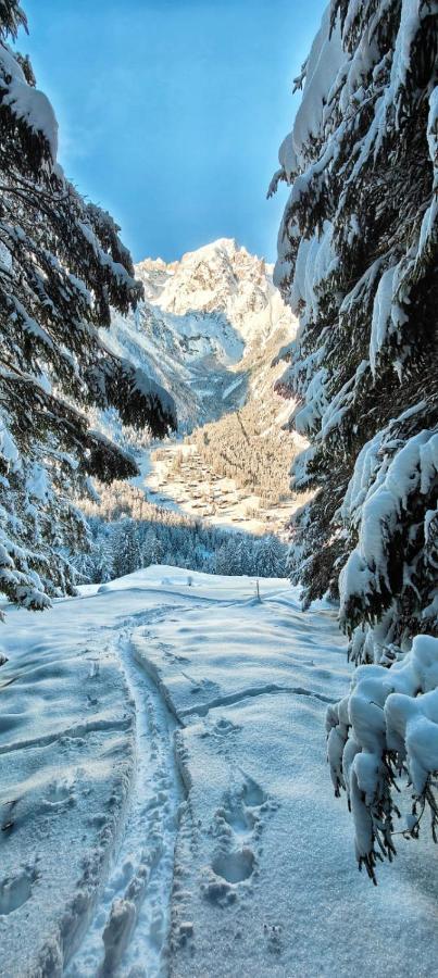 Chez Pierre Lejlighed Praz-de-Fort Eksteriør billede