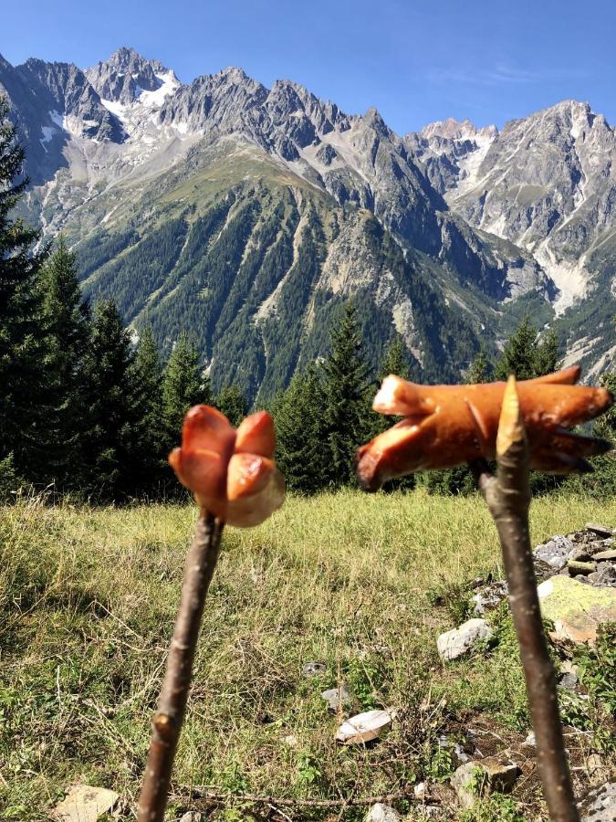 Chez Pierre Lejlighed Praz-de-Fort Eksteriør billede
